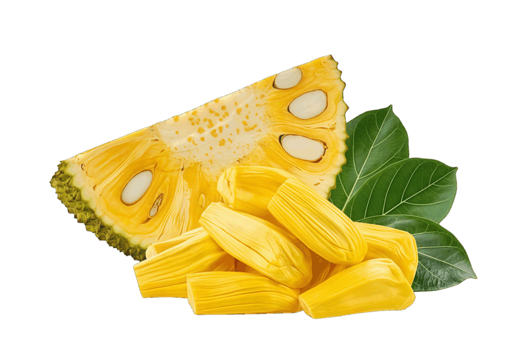 Jack fruit