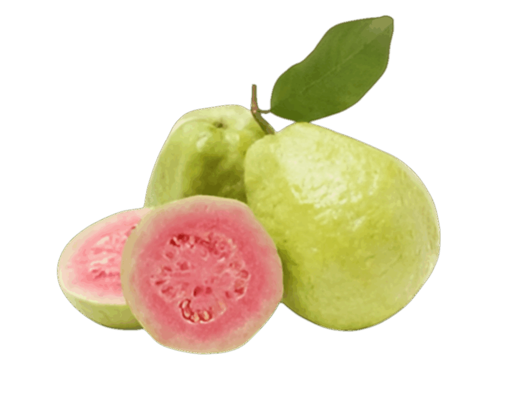 Guava